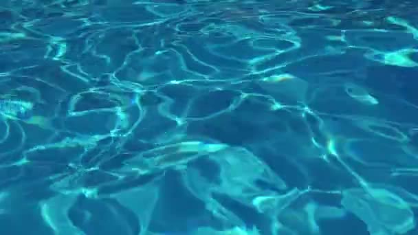 Água na piscina, a luz do sol é refletida, ondas pequenas, tiro em câmera lenta . — Vídeo de Stock