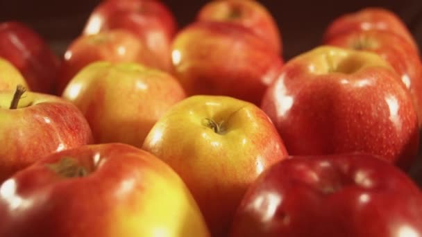 Close-up van rode appel. Gekleurde vruchten voor beter gezond. — Stockvideo