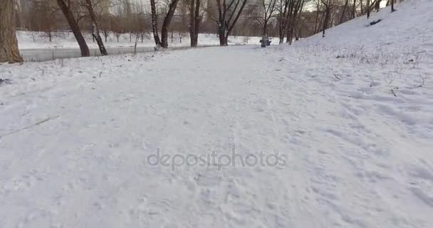 Γρήγορη κίνηση της κάμερας μέσα από το πάρκο κατά μήκος του ποταμού, τα δέντρα μεγαλώνουν χιονισμένο — Αρχείο Βίντεο