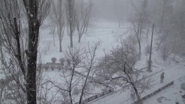 Kar Güz sokakta. — Stok video