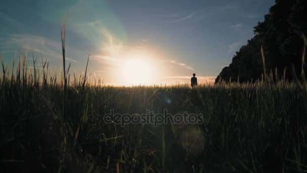 Chica pasea con cachorro al atardecer — Vídeo de stock