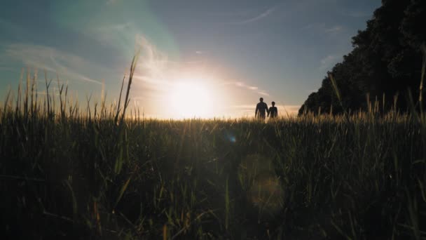 Gelukkige paar verliefd met Franse bulldog outdoors. — Stockvideo