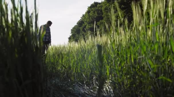 Male with small dog outdoors. — Stock Video