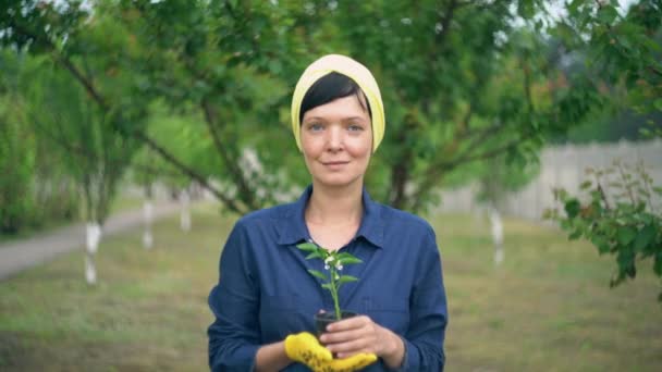 Morena hembra con planta al aire libre . — Vídeos de Stock