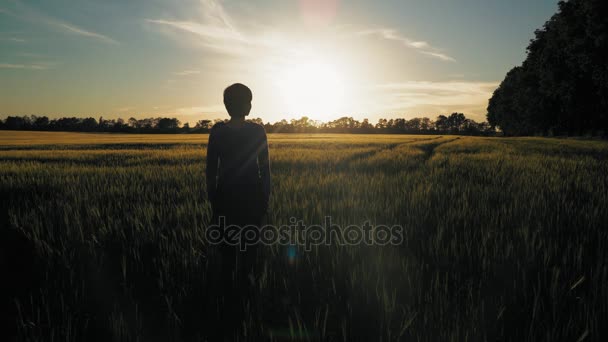 Chica sola en el campo — Vídeos de Stock