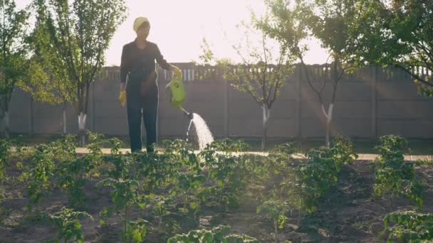 Pěstitel v zahradní letní sezóně. — Stock video