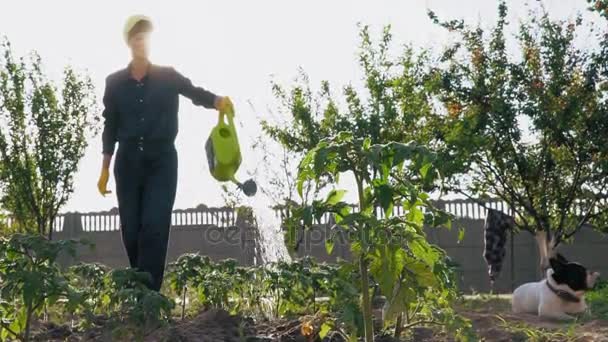 Retrato jardinero en día soleado . — Vídeo de stock