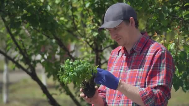 Guy poseren met plant. — Stockvideo