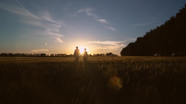 Women and men enjoy freedom at countryside. — Stock Video