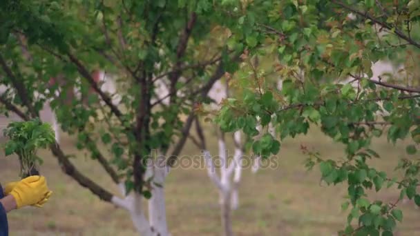 Portret vrouwen met groene bloem. — Stockvideo