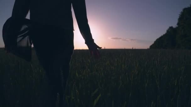 Mulheres caminhando pelo prado ao pôr do sol — Vídeo de Stock