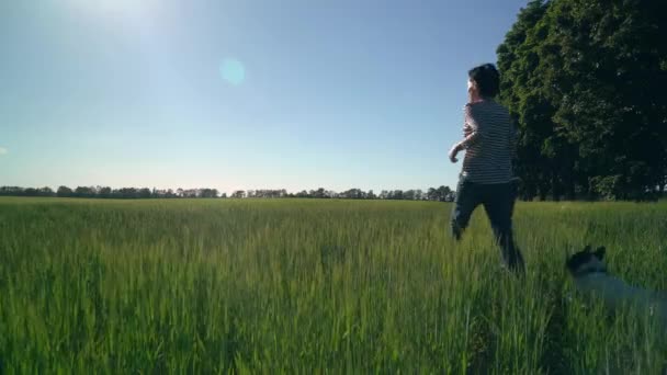 Ženy chodí s Francouzský buldoček. — Stock video