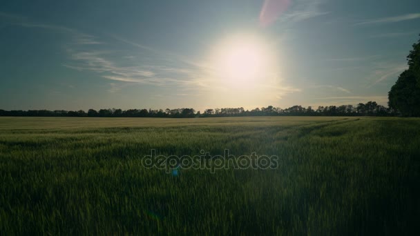 Paesaggio incredibile in campagna . — Video Stock