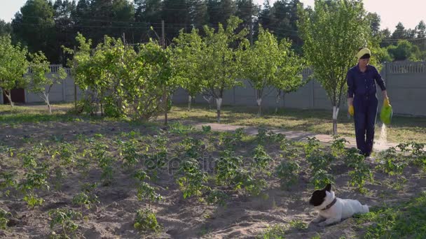 Дівчина працює на задньому дворі в літній сезон . — стокове відео