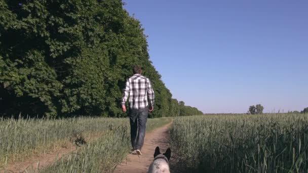 Chico caminando con bulldog francés en verano . — Vídeo de stock