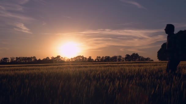 Mannen loopt op platteland. — Stockvideo