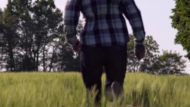 Feliz amistad hombre y mascota al aire libre . — Vídeos de Stock