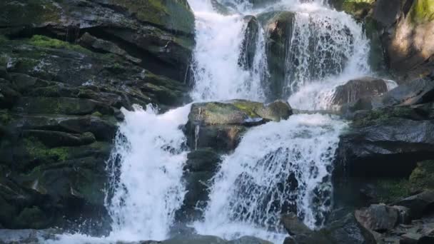Carpatian waterfall Shipot cámara lenta, Pylypets, Podobovets, Ucrania — Vídeo de stock