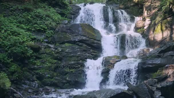 Carpatian waterfall Shipot, Pylypets, Podobovets, Ucrania — Vídeo de stock