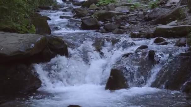 Вода из горной реки стекает в бассейн . — стоковое видео