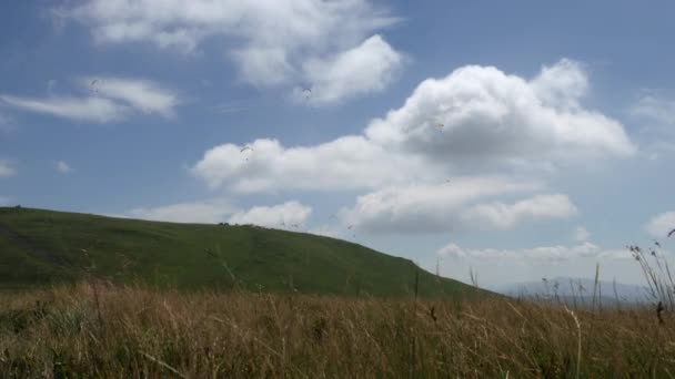 En hel del paragliders flyger i himlen — Stockvideo