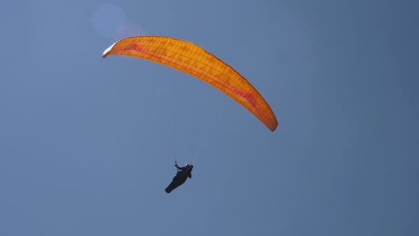 De paraglider vliegt in zonnige dag. — Stockvideo