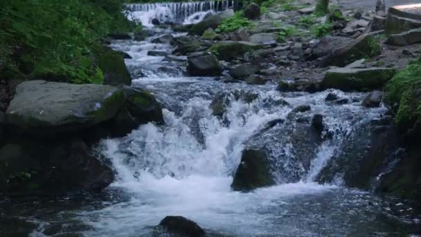 Agua del río de montaña — Vídeo de stock