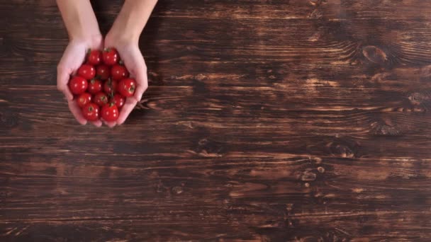 Brazos de persona invisible con tomates pequeños — Vídeo de stock