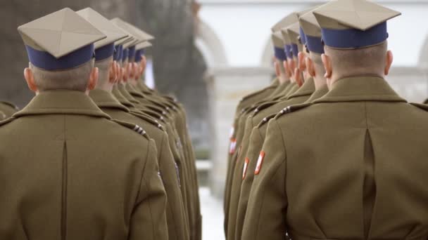 Στρατιώτες να στέκονται σε μία γραμμή, έχουν απονεμηθεί βραβεία. — Αρχείο Βίντεο