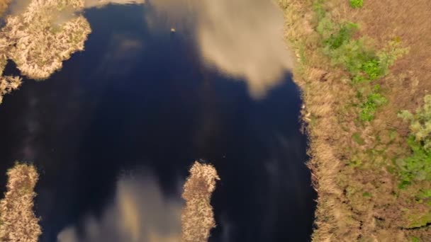 Vista aérea verano naturaleza — Vídeo de stock