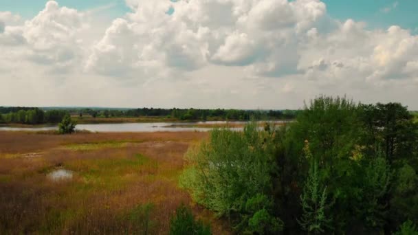 Панорама реки, воздушный кадр — стоковое видео