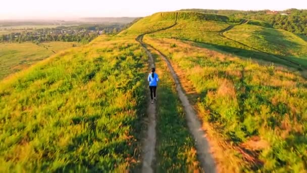 Top view loper treinen zomer landschap — Stockvideo