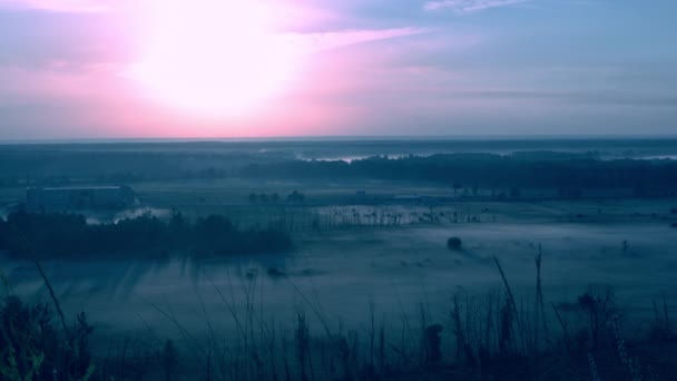 Abend kalter Sonnenuntergang, über dem Feld, schöner Hintergrund. — Stockvideo