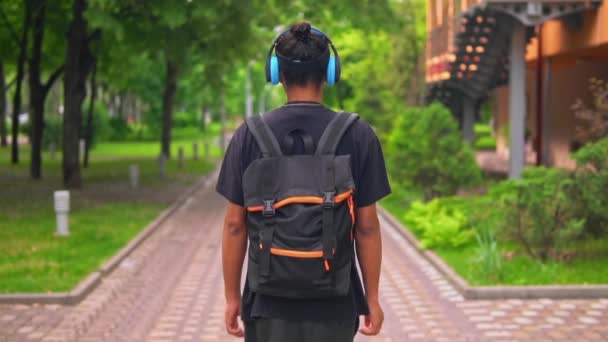 Paseo del viajero en parque de la ciudad — Vídeos de Stock