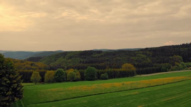 Vista dall'alto sull'ambiente del paesaggio — Video Stock