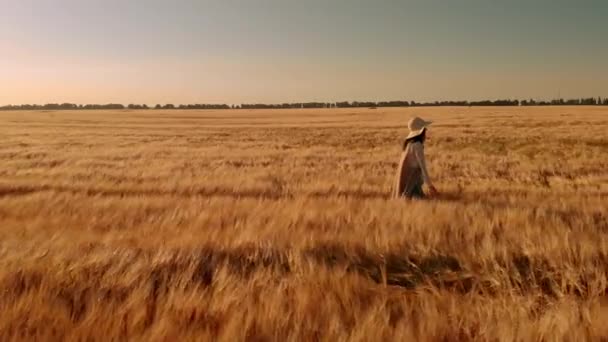 Feminino desfrutar de natureza rural no verão — Vídeo de Stock