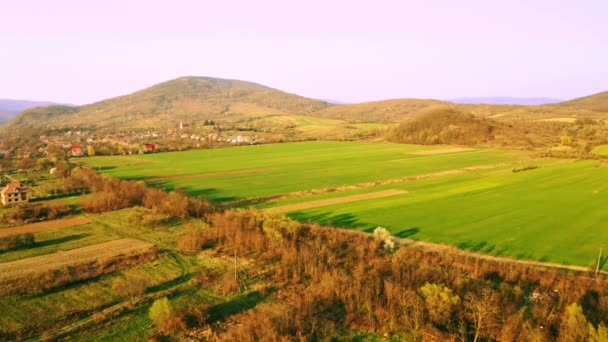 Drohne fliegt über Hügel und Wiesen — Stockvideo