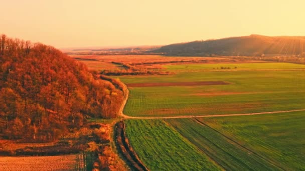 Drone vliegt boven prachtig landschap — Stockvideo