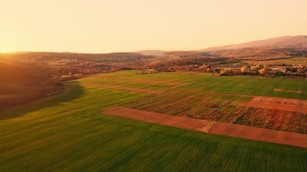 Drohne fliegt über warmer Landschaft — Stockvideo