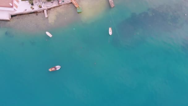 Vista aérea de los esquiroles en la costa — Vídeo de stock