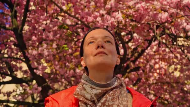 Kvinnlig promenad utomhus körsbär blommor på bakgrunden — Stockvideo