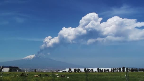 Вулкан Этна извергает дым и пыль - издалека — стоковое видео