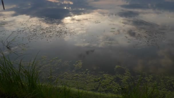 Отражение облаков на воде — стоковое видео