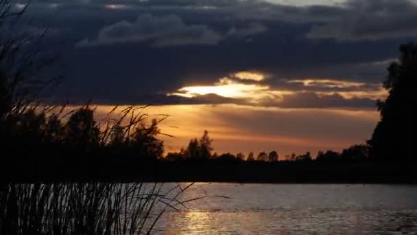 Time-lapse - Lake bij zonsondergang — Stockvideo