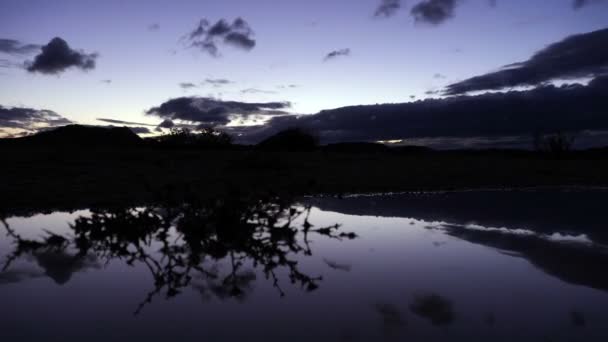 Wolken reflectie in een plas - avond — Stockvideo