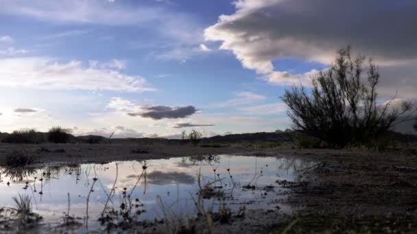 Wolken reflectie in een plas — Stockvideo