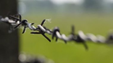 Auschwitz aşırı kapatın 