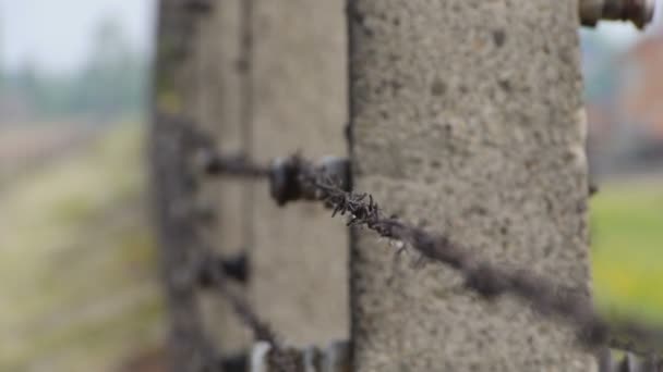 Auschwitz prikkeldraad en hek — Stockvideo