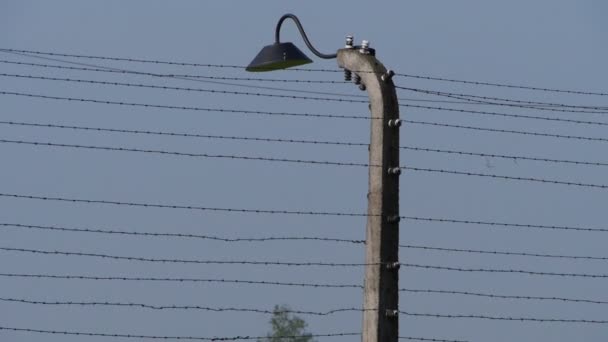 Auschwitz câmera pan na cerca — Vídeo de Stock