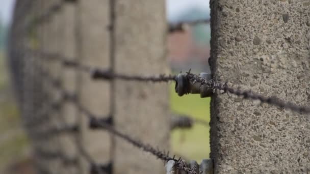 Auschwitz szoros lövés a kerítés és a szögesdrót — Stock videók